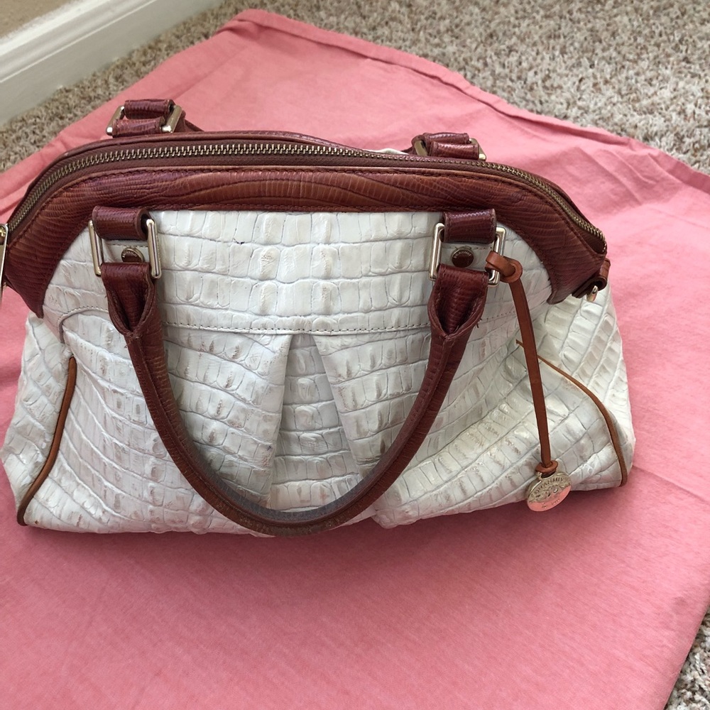 Brahmin Tan & Brown Bag